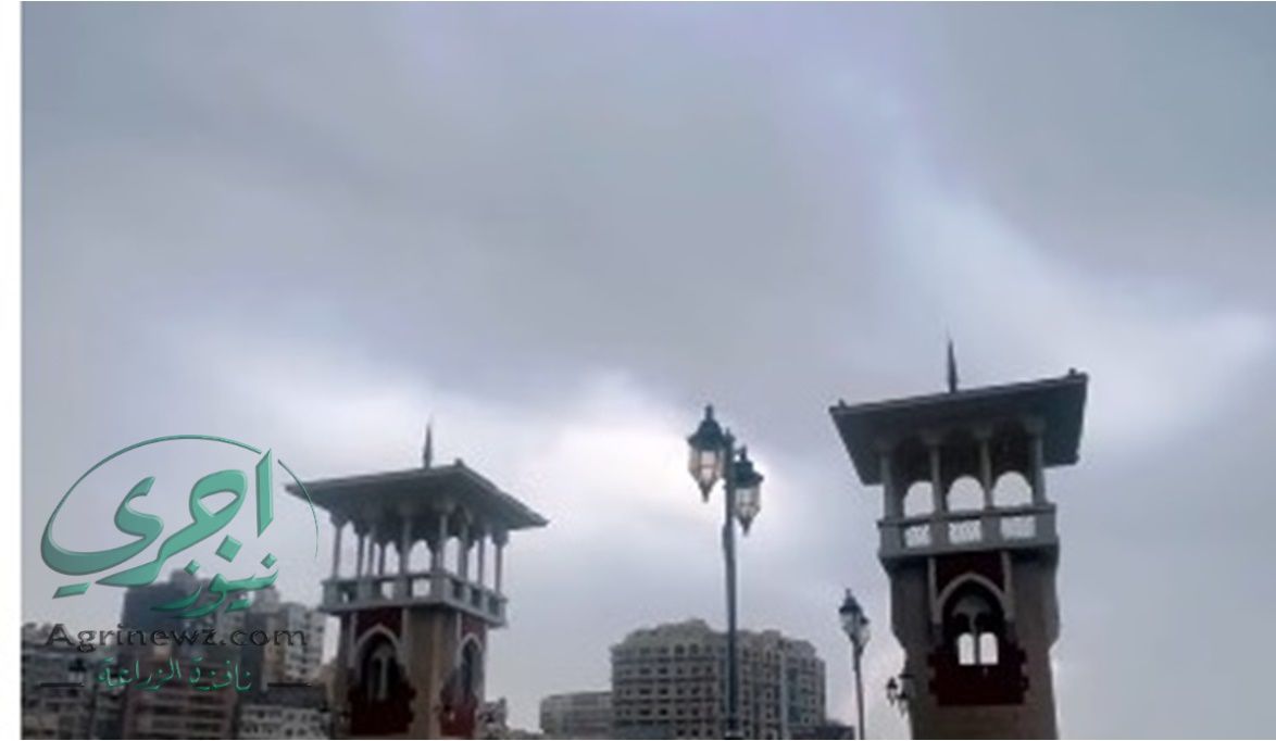 انخفاض درجات الحرارة.. أجواء شتوية غدًا في القاهرة الكبرى : ه…