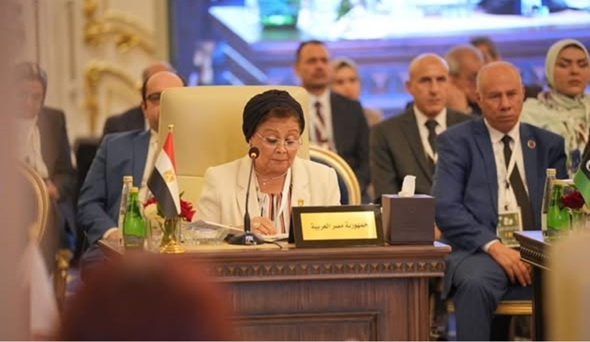 نائب وزير الصحة تشارك في الدورة السابعة للمجلس العربي للسكان و…