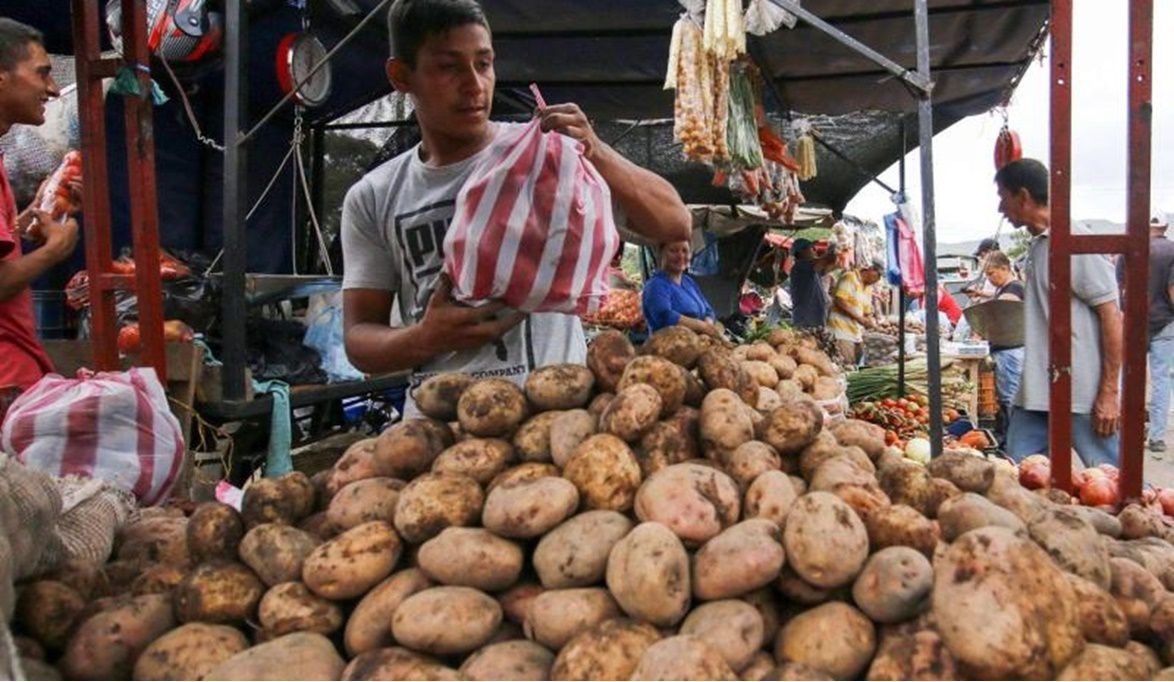 تجارة تقاوي البطاطس أكثر رب…