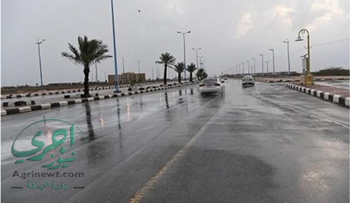 البرودة الصباحية، أمطار رعدية، وا…