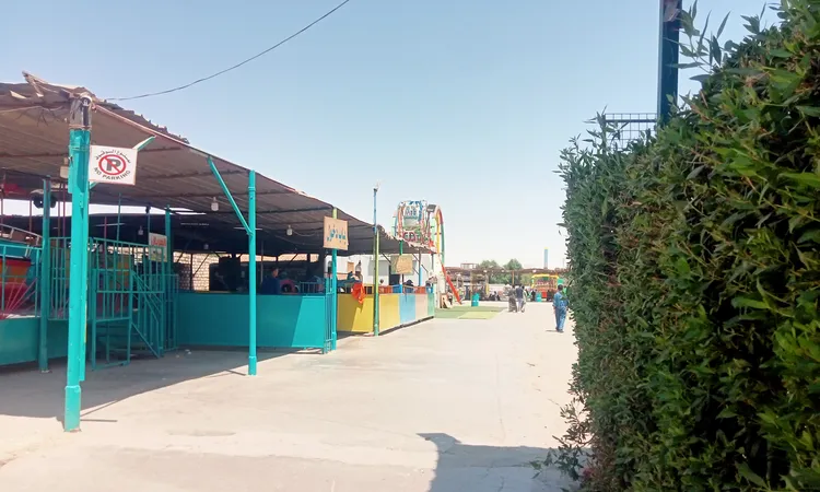 برودة وصقيع تضرب محافظة الأقصر اليوم