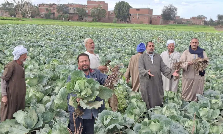 فلاحو قرية أبو الغيط يستغيثون بالرئيس: الأوقاف رفعت إيجار الأراضي الزراعية لـ55 ألف جنيه وإحنا مش لاقيين ناكل”
