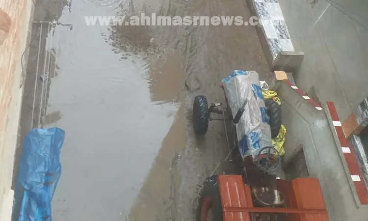 هطول أمطار غزيرة على مناطق متفرقة بكفر الشيخ | صور