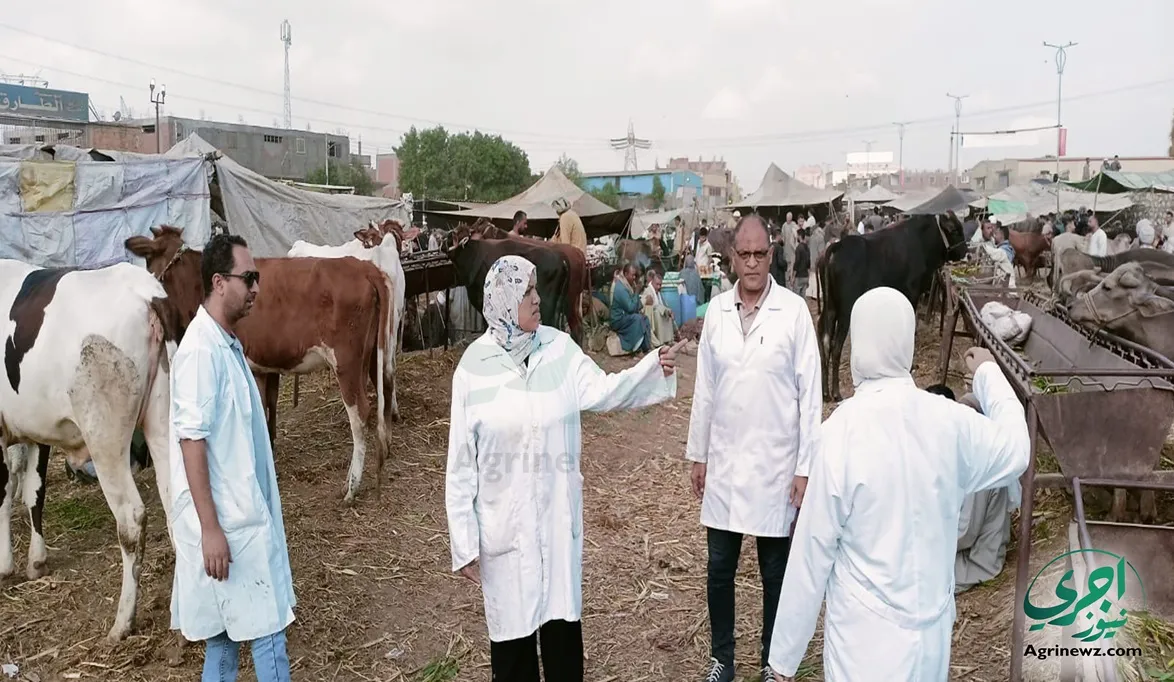 الزراعة التحصينات الدورية والإيواء المناسب المواشى والدواجن لم…