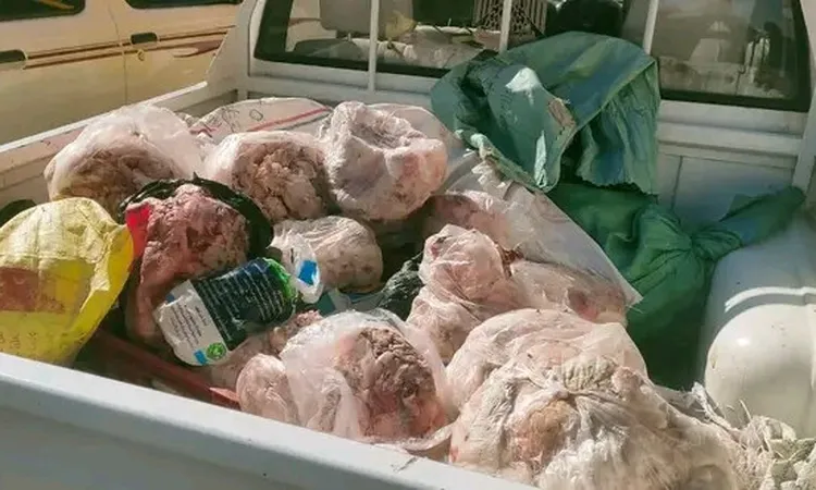 تموين الأقصر تضبط نصف طن لحوم بلدية و دواجن وشحوم فاسدة فى مكان تجهيز أحد المطاعم