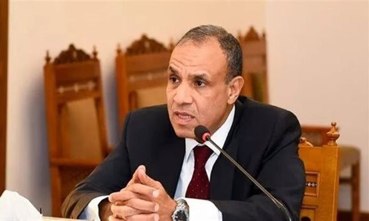وزير الخارجية: مصر منخرطة بشكل كامل في العمل على الدخول فورا في المرحلة الثانية من خطة السلام بشأن غزة