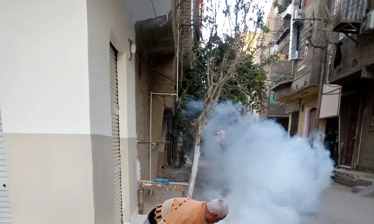 محافظ الأقصر يوجه برش المبيدات الحشرية بمنطقة حي شرق لمكافحة الحشرات الضارة والبعوض