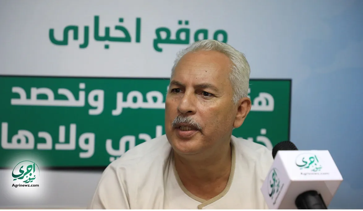 مصر بها نحو 11مليون كلب ضال…