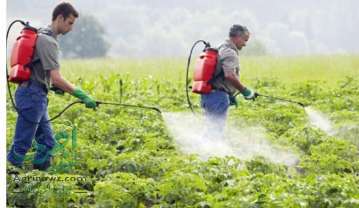 الزراعة تكافح المبيدات المغشوشة بالرقمنة لضمان جودة الإنتاج وا…