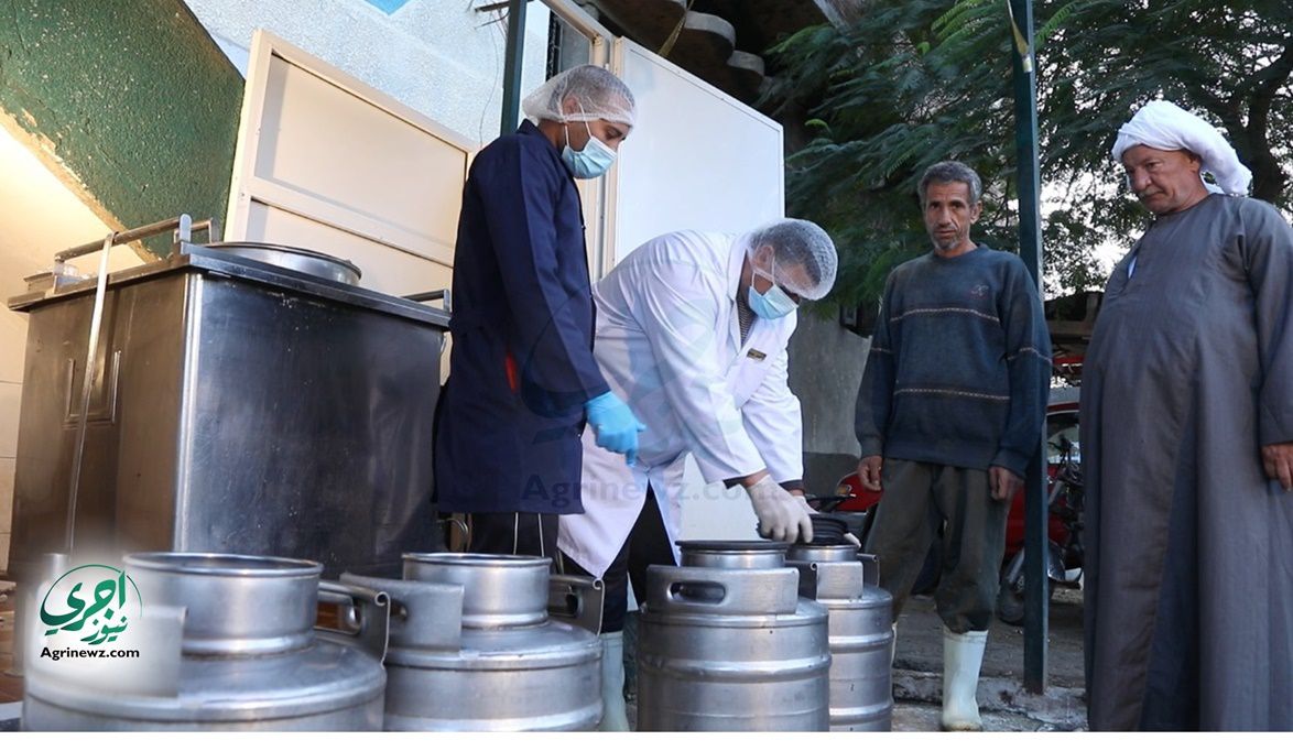 ارتفاع إنتاج الألبان وتوسع في دعم المزارع ومراكز الت…