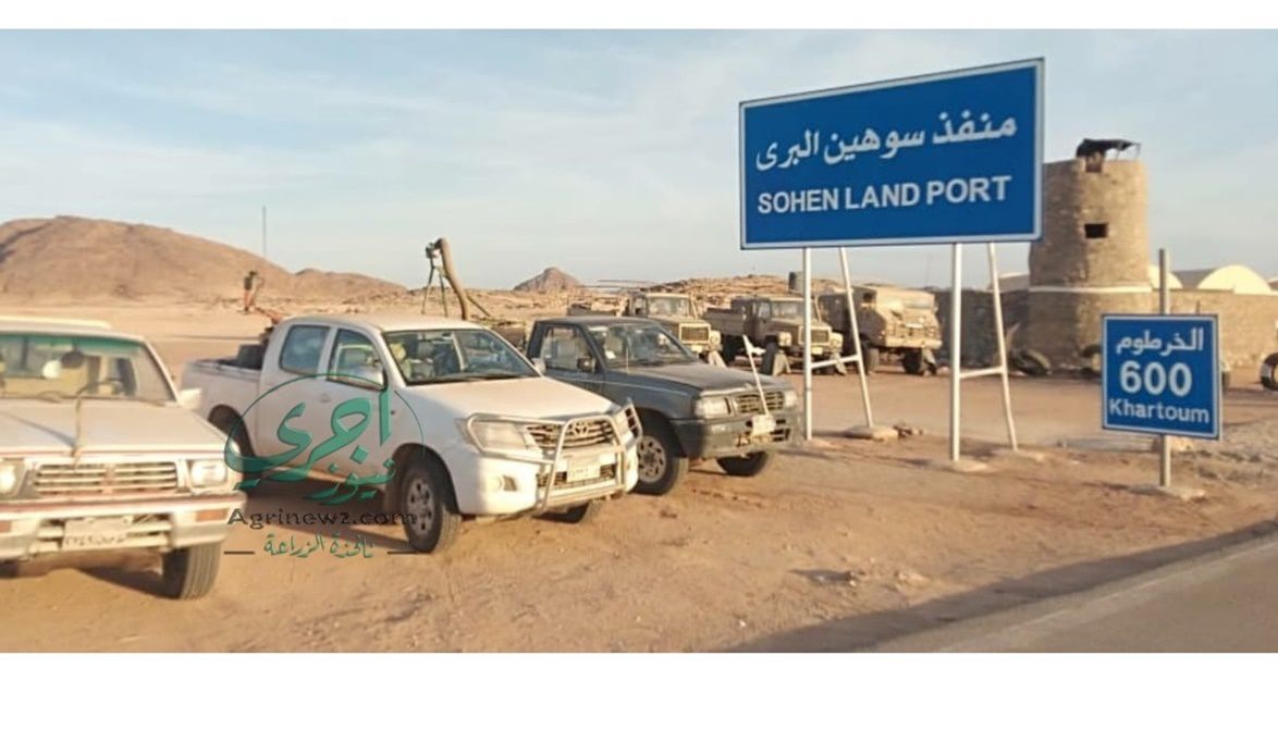 رادار “الزراعة” يراقب الجراد الصحراوي بالأقمار الاصطناعية وخرا…