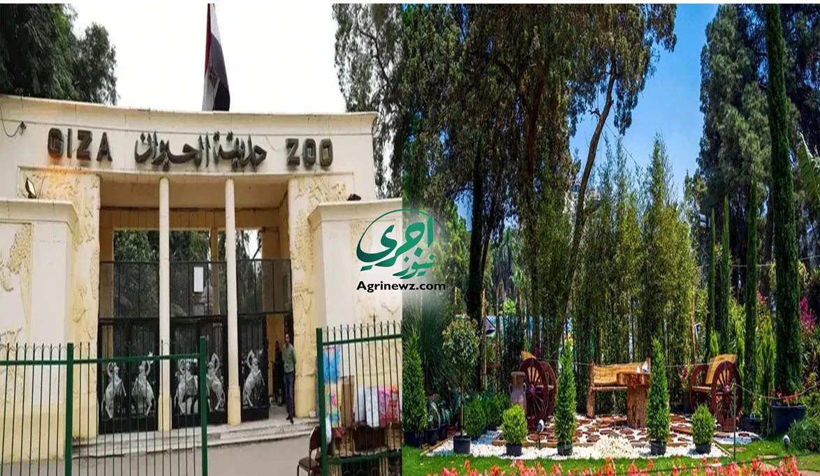 في حديقة حيوان الجيزة.. “سلوى وهاني ونفين” في استقبال الصغار ا…