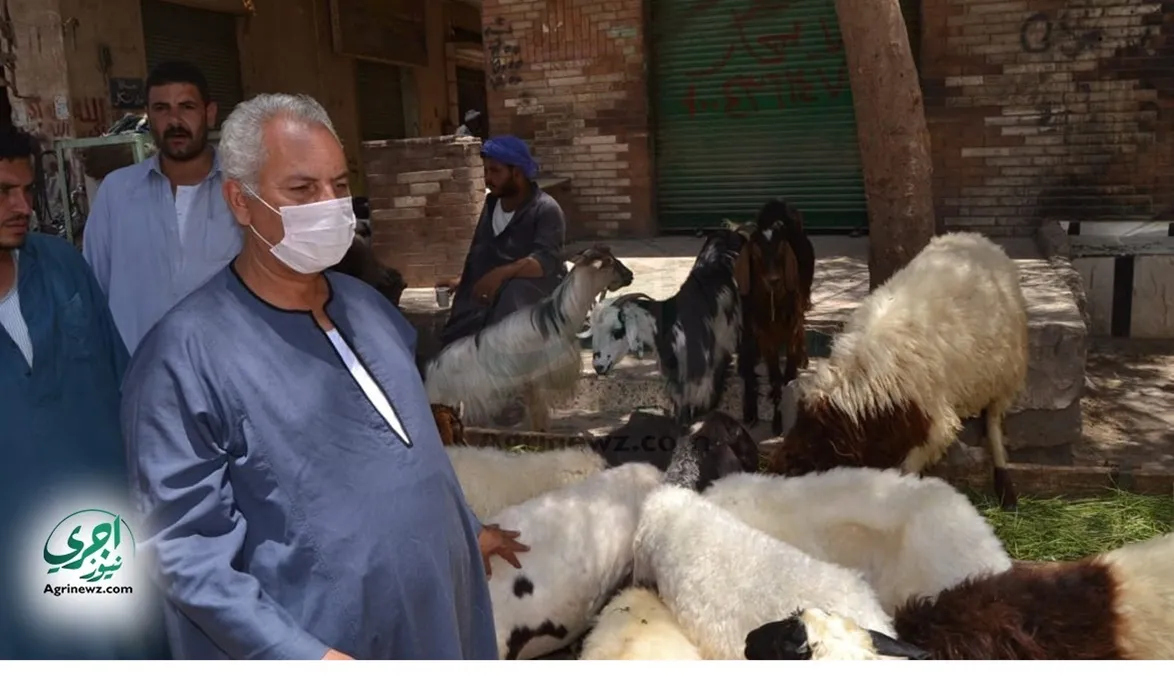 يكشف اهم الأسباب التي أدت لتقليص الفجوة بين الا…