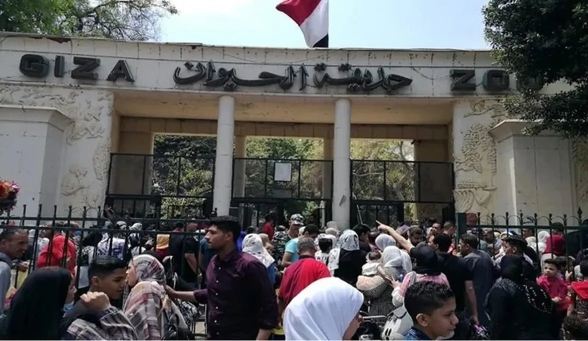 “بندا” القردة الزرقاء ترحب بالجمهور لا تفوتوا عروض “دود الشمبا…