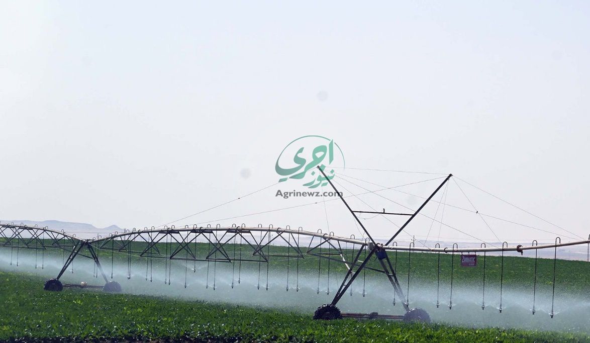 فرصة العمر.. شروط الحصول علي أرض ضمن مشروع 1.5 فدان…