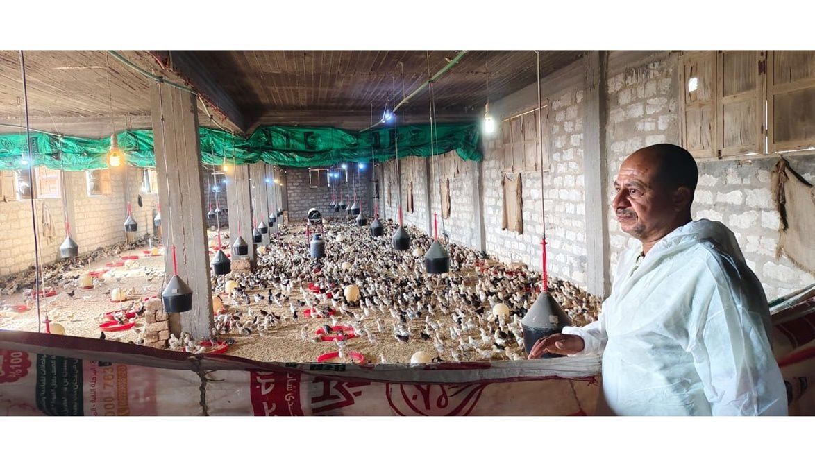 الزراعة تُزيل عقبات المصدرين وتدعم الاستثمار الداجني في الظهير…