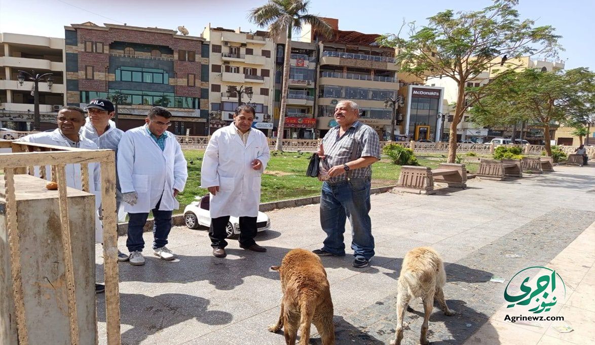 الزراعة تكشف حقيقة تصدير كلاب الشوارع للأكل ..تفاصيل…