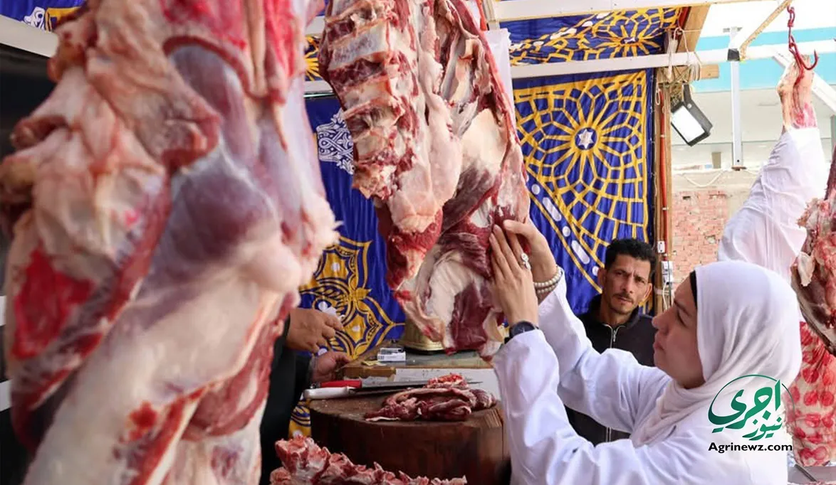الزراعة تكثف حملاتها على محال اللحوم لمنع التربح على حساب المو…