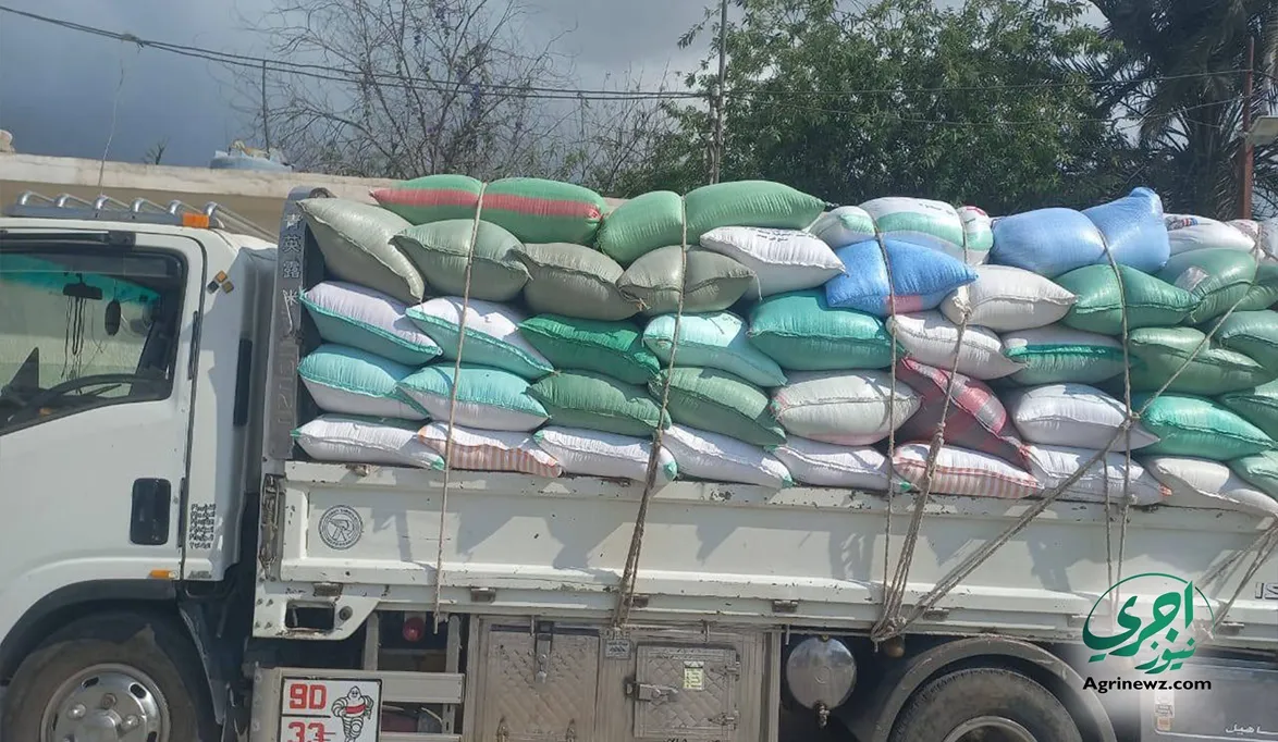 وزارة الزراعة تُتابع “الغيطان”.. إرشادات عاجلة للمزارعين لإنقا…