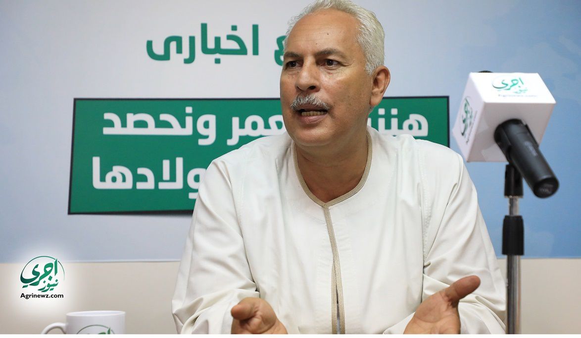 ضربة جديدة للسوق الزراعي.. أزمة البطاطس تلوح من جديد ونقيب الف…