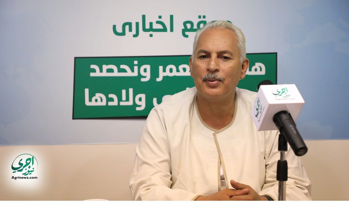 أكثر من ثلث مساحة مصر الزراعية ستزرع قمح…