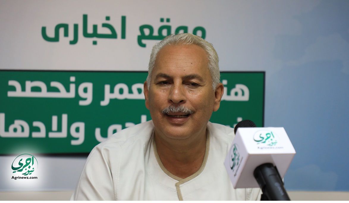 نقيب الفلاحين لـ اجري نيوز  : نص فدان نعناع يعيشوك ملك بشرط حسن التسويق – موقع اجرى نيوز الإخباري