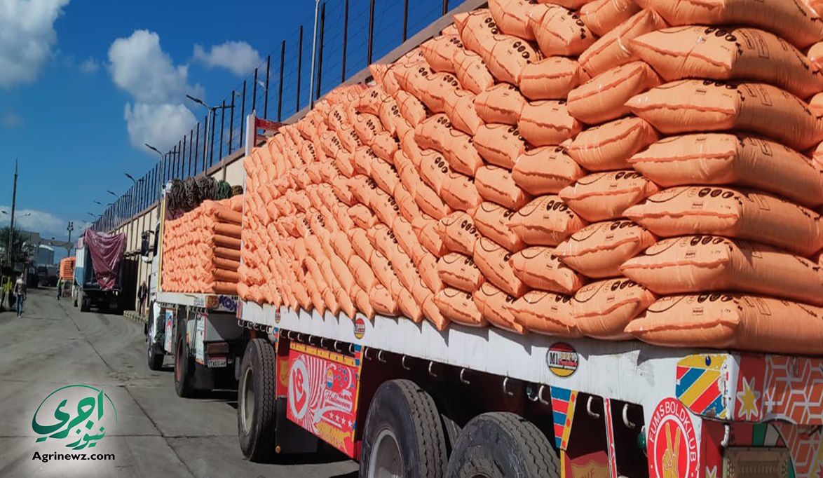 الزراعة غرف عمليات بالمحافظات لمتابعة توزيع مقررات الأسمدة بأس…