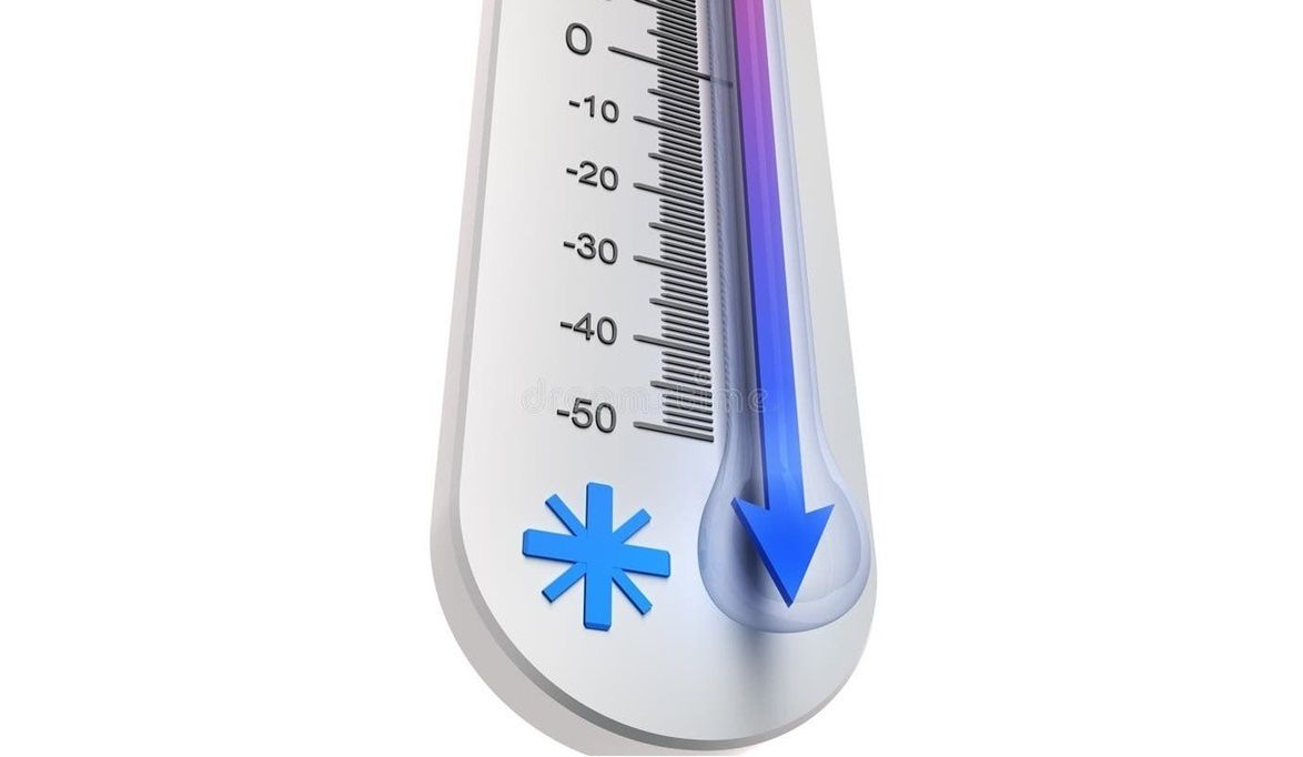 طقس بارد وشبورة كثيفة وأمطار متفاوتة الجمعة 12 ديسمبر 2025.. ت…