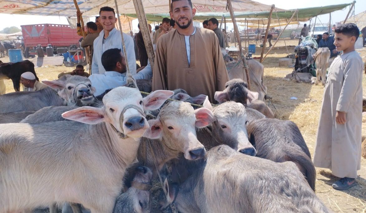 معاينة ثلاثية بديلة لرخصة التشغيل بمشروع البتلو بفائد…