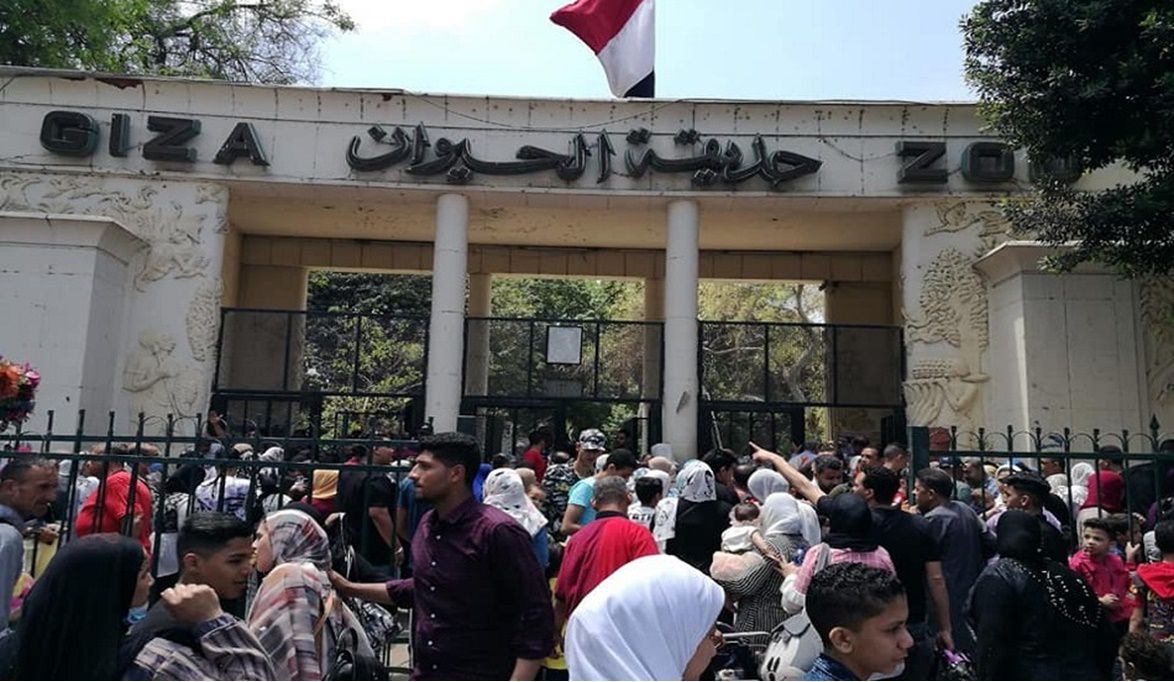 بانوراما ولادات جديدة في حديقة حيوان الجيزة تطوير بيت الزواحف …