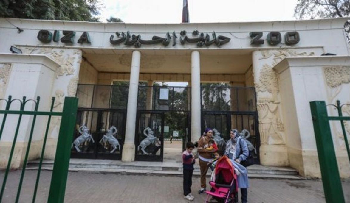 حديقة حيوان الجيزة تتألق من جديد: لوحات لوزة ومغامرات البرنس تخطف قلوب الصغار – موقع اجرى نيوز الإخباري