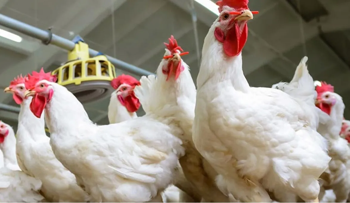 استعداد كامل لشهر رمضان مع توصيات بتخزين الكميا…