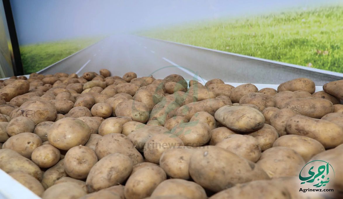 كنز جديد في عالم العناية بالبشرة…