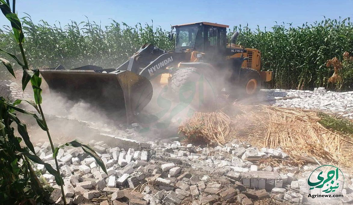 زراعة المنيا تضرب التعديات الزراعية.. إزالة المخالفات وحظر الد…