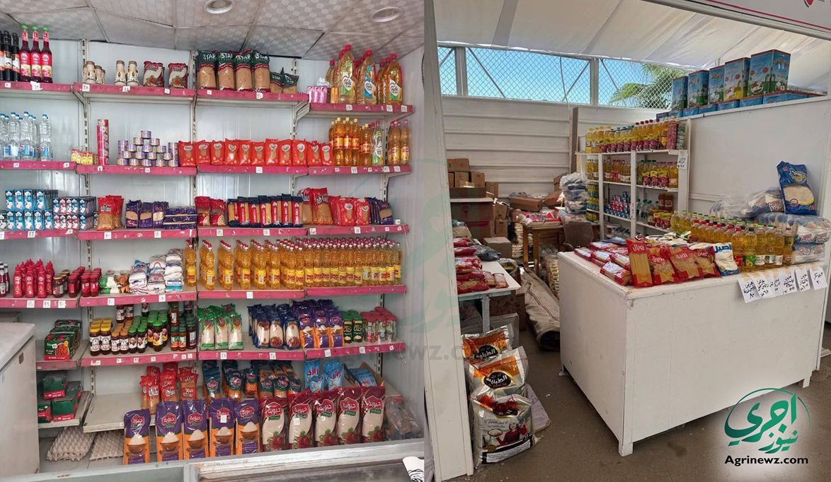 4 ملايين طن قمح محلي واحتياطي استراتيجي يكفي 6 أشهر…