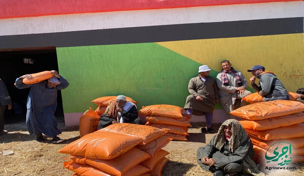 إجراءات صارمة لضمان وصول الأسمدة للمزارعين وفق الضوابط الرسمية…