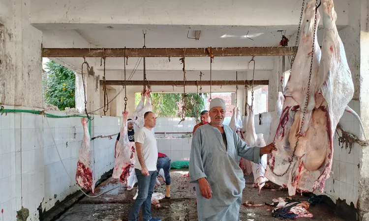 “الزراعة” تضبط 189 طنا من اللحوم ومنتجاتها غير المطابقة للاشتراطات الصحية خلال أسبوع