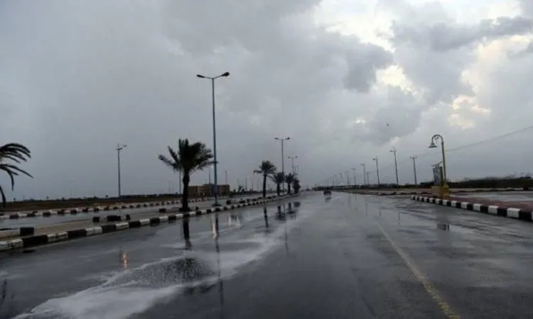 أمطار وشبورة.. تفاصيل حالة الطقس اليوم