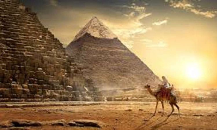 “شركات السياحة”: نحتاج ضوابط صارمة لمنع العشوائية وحماية صورة السياحة المصرية