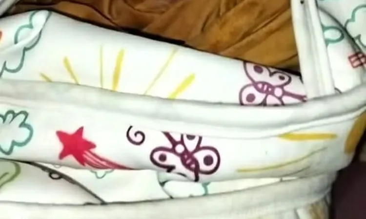 تفاصيل العثور على طفل رضيع على حافة ترعة بالدقهلية