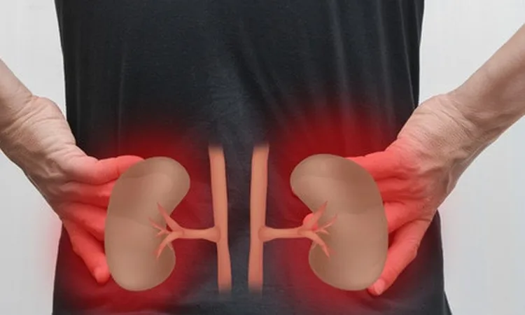 جمال شعبان: السيطرة على ضغط الدم تحمي من الفشل الكلوي