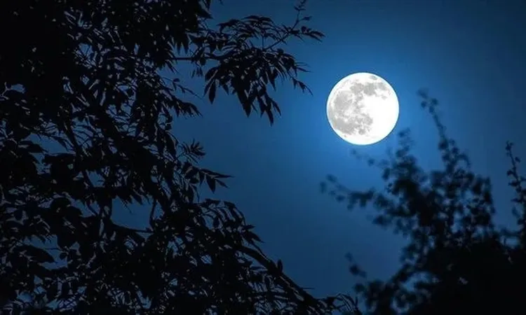 خبير صيني يشكك في قدرة الولايات المتحدة على تشغيل مفاعل نووي على القمر بحلول 2030