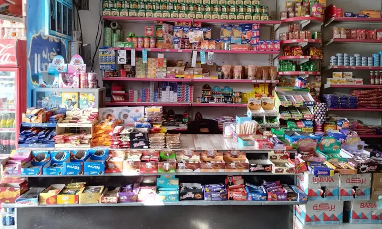 بـ 6 مليون جنية.. محافظ المنوفية توفير 51 فرصة عمل