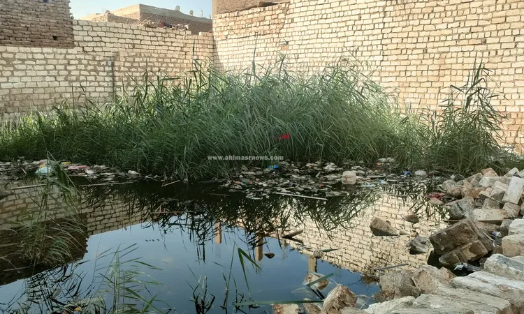 بقالنا 3 سنين بيوتنا عايمة في المياه.. أهالي “نجع الجبل” بقنا يستغـيثون بسبب المياه الجوفية: محدش سائل فينا