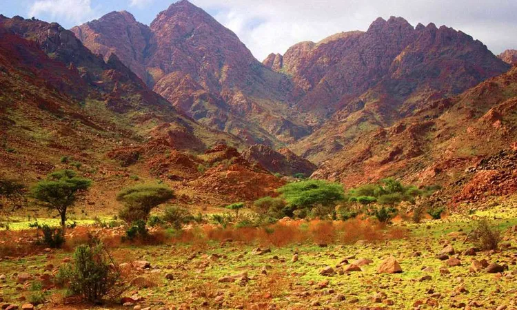 رئيس التنوع البيولوجي: الحيد المرجاني مرحلة مهمة في تاريخ المحميات الطبيعية