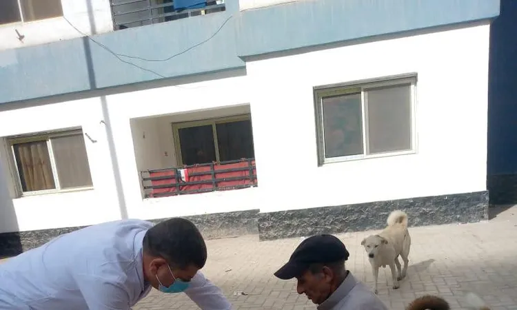 حملات مكثفة لتحصين الكلاب الحرة ضد مرض السعار بالدقهلية