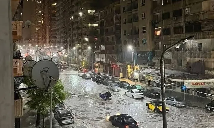 أمطار متفاوتة ونشاط رياح.. طقس بارد يضرب القاهرة الكبرى اليوم