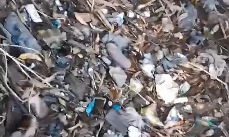 غضب مزارعي قوص من تراكم المخلفات بباطن الترع والمصارف بقنا: أصبحت بؤرة للأمراض