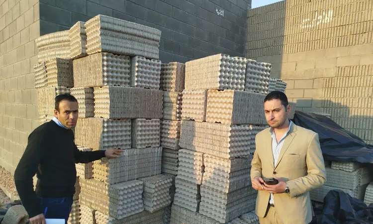 ضبط 70 ألف بيضة فاسدة غير صالحة للاستهلاك الأدمي قبل طرحها بالأسواق في المنوفية