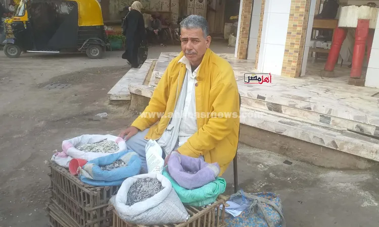 من إدكو لكفر الشيخ.. “عم أشرف” قصة 40 سنة في بيع أم الخلول: ربيت ولادي منها ودخلوا الجامعة | صور